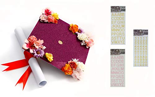 Handmade Graduation Cap Topper, What She Tackles She Conquers, Graduation Cap Decorations